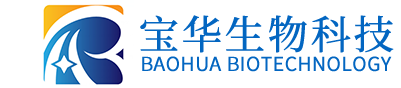 球速在线官网